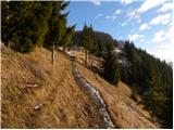 Trojane - Črni vrh (Čemšeniška planina)